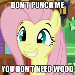 Size: 400x400 | Tagged: safe, fluttershy, pegasus, pony, female, fluttertree, image macro, mare, minecraft