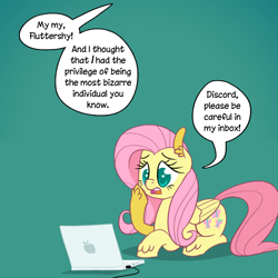 Size: 1000x1000 | Tagged: safe, artist:ponett, fluttershy, pegasus, pony, ask, computer, fourth wall