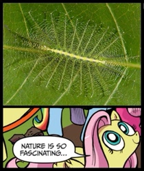 Size: 397x473 | Tagged: safe, fluttershy, caterpillar, pegasus, pony, blue coat, blue eyes, common baron, dialogue, exploitable meme, female, looking up, mare, meme, multicolored tail, nature is so fascinating, pink coat, pink mane, smiling, speech bubble, wings, yellow coat
