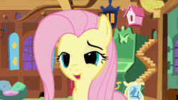 Size: 640x360 | Tagged: safe, screencap, fluttershy, pegasus, pony, stare master, animated, cute, holding breath, implied squee, puffy cheeks, shyabetes, solo, squee