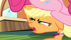 Size: 1440x809 | Tagged: safe, applejack, pinkie pie, earth pony, pony, games ponies play, asshat, plot