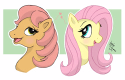 Size: 1250x800 | Tagged: safe, artist:joakaha, fluttershy, posey, pegasus, pony, g1, generation leap