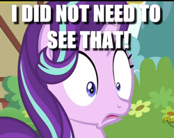 Size: 512x408 | Tagged: safe, starlight glimmer, pony, unicorn, do not want, faic, image macro, meme, mismatched eyes, shocked, shrunken pupils, solo, what has been seen