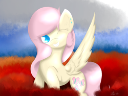 Size: 1600x1200 | Tagged: safe, artist:dawn079, fluttershy, pegasus, pony, female, field, mare, wink