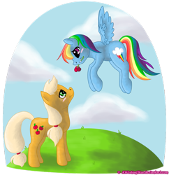 Size: 879x908 | Tagged: safe, artist:relaxn, derpibooru import, applejack, rainbow dash, earth pony, pegasus, pony, appledash, female, flower, lesbian, shipping