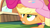 Size: 1920x1080 | Tagged: safe, screencap, applejack, pinkie pie, earth pony, pony, games ponies play, asshat, butt touch, female, hoof on butt, mare, out of context, plot, train, window