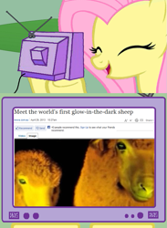 Size: 563x771 | Tagged: safe, fluttershy, pegasus, pony, exploitable meme, female, mare, tv meme, what has science done