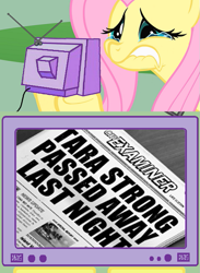 Size: 511x700 | Tagged: safe, fluttershy, pegasus, pony, crying, dude not funny, exploitable meme, fake headline, female, fluttercry, implied death, mare, seems legit, tara strong, tv meme, unfunny, we are going to hell