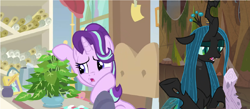 Size: 2264x988 | Tagged: safe, edit, edited screencap, screencap, mean twilight sparkle, phyllis, queen chrysalis, starlight glimmer, twilog, changeling, changeling queen, pony, unicorn, a horse shoe-in, frenemies (episode), comparison, dead, female, log, mean twilight log, plant, starlight's office, wood