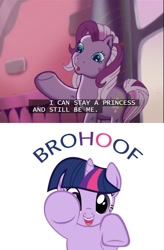 Size: 640x976 | Tagged: safe, derpibooru import, twilight sparkle, wysteria, g3, g4, the princess promenade, hoofbump, princess wysteria, subtitles