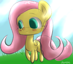 Size: 692x606 | Tagged: safe, artist:draneas, fluttershy, pegasus, pony, female, mare, pink mane, yellow coat