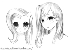 Size: 551x379 | Tagged: safe, artist:tsurukinoki, fluttershy, bust, duality, grayscale, human ponidox, humanized, monochrome, portrait