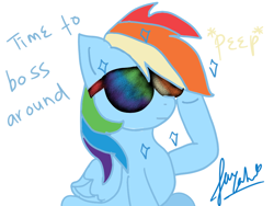 Size: 1024x768 | Tagged: safe, artist:renarararista, derpibooru import, rainbow dash, pegasus, pony, blue coat, female, mare, multicolored mane, simple background, solo, white background, wings