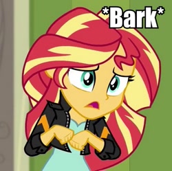 Size: 401x400 | Tagged: safe, sunset shimmer, equestria girls, animal noises, barking, image macro, meme