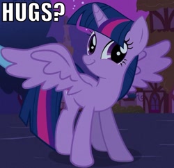 Size: 587x569 | Tagged: safe, derpibooru import, twilight sparkle, twilight sparkle (alicorn), alicorn, pony, female, hug, image macro, mare, twiface, wrong neighborhood