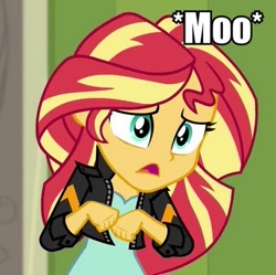 Size: 401x400 | Tagged: safe, sunset shimmer, equestria girls, animal noises, behaving like a cow, image macro, meme, moo