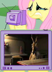 Size: 563x771 | Tagged: safe, fluttershy, pegasus, pony, rabbit, exploitable meme, fluttercry, short, tv meme