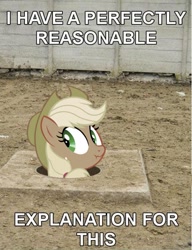 Size: 501x654 | Tagged: safe, applejack, earth pony, pony, hole, image macro, liar face, liarjack, photo