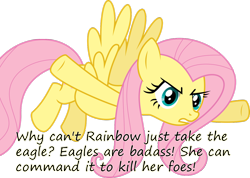 Size: 1262x900 | Tagged: safe, fluttershy, eagle, pegasus, pony, angry, insane pony thread, tumblr