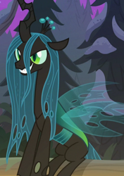 Size: 506x718 | Tagged: safe, screencap, queen chrysalis, changeling, changeling queen, frenemies (episode), cropped, female, sitting, solo