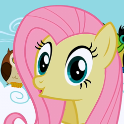 Size: 700x700 | Tagged: safe, fluttershy, bird, owl, pegasus, pony, female, mare, photobomb