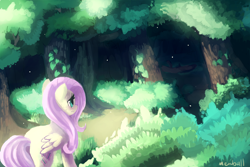 Size: 1350x900 | Tagged: safe, artist:mewball, fluttershy, pegasus, pony, everfree forest, forest, solo