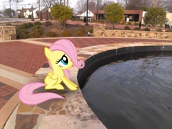 Size: 2048x1536 | Tagged: safe, artist:tokkazutara1164, fluttershy, pegasus, pony, filly, fountain, houses, ponies in real life, street, vector