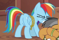 Size: 257x174 | Tagged: safe, derpibooru import, screencap, quibble pants, rainbow dash, pegasus, pony, stranger than fan fiction, bondage, bound wings, cropped, featureless crotch, out of context, plot, rainbond dash