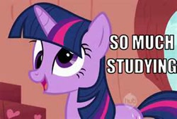 Size: 300x203 | Tagged: safe, derpibooru import, twilight sparkle, pony, unicorn, derp, female, horn, image macro, mare, purple coat, purple mane, solo