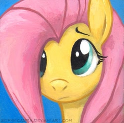 Size: 459x455 | Tagged: safe, artist:kenket, artist:spainfischer, fluttershy, pegasus, pony, solo, traditional art