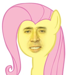 Size: 680x709 | Tagged: safe, fluttershy, pegasus, pony, female, mare, nicolas cage, pink mane, yellow coat