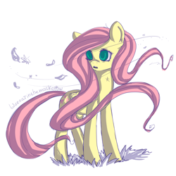 Size: 3000x3000 | Tagged: safe, artist:yukomaussi, fluttershy, pegasus, pony, feather, high res, solo