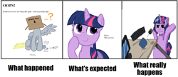 Size: 640x276 | Tagged: safe, derpy hooves, twilight sparkle, pegasus, pony, female, mare, meta, ponibooru