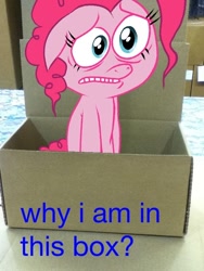 Size: 600x800 | Tagged: safe, edit, pinkie pie, earth pony, pony, .mov, cardboard box, image macro, solo