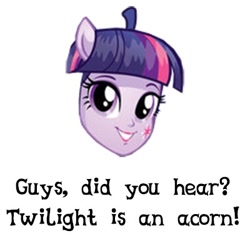 Size: 400x393 | Tagged: safe, derpibooru import, edit, twilight sparkle, equestria girls, acorn, caption, equestria girls prototype, head, meta, twilacorn, twoiloight spahkle, visual pun