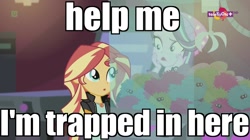 Size: 1136x638 | Tagged: safe, edit, edited screencap, screencap, starlight glimmer, sunset shimmer, equestria girls, mirror magic, spoiler:eqg specials, canterlot mall, cinema, image macro, meme, teletoon, trapped