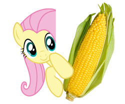 Size: 600x500 | Tagged: safe, fluttershy, pegasus, pony, bad joke, corn, stock image, wat