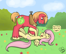 Size: 1083x895 | Tagged: safe, artist:marindashy, big macintosh, fluttershy, earth pony, pegasus, pony, blushing, cute, fluttermac, male, shipping, shyabetes, stallion, straight, tickling