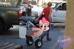 Size: 3872x2592 | Tagged: safe, artist:utterlyludicrous, pinkie pie, human, cart, irl, irl human, photo, pick up, ponies in real life, trash can, truck, vector