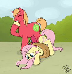 Size: 1024x1055 | Tagged: safe, artist:marindashy, big macintosh, fluttershy, earth pony, pegasus, pony, blushing, fail, fluttermac, laughing, male, shipping, stallion, straight