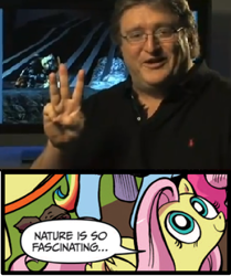 Size: 395x473 | Tagged: safe, idw, fluttershy, pegasus, pony, blue coat, blue eyes, dialogue, exploitable meme, fake, female, fingers, gabe newell, half-life, looking up, mare, meme, multicolored tail, nature is so fascinating, pink coat, pink mane, smiling, speech bubble, three, wings, yellow coat