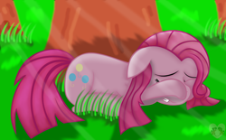 Size: 1024x633 | Tagged: safe, artist:eveon99, pinkie pie, earth pony, pony, crying, pinkamena diane pie, sad, solo