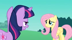 Size: 1920x1080 | Tagged: safe, derpibooru import, screencap, fluttershy, twilight sparkle, pegasus, pony, the best night ever, lidded eyes, out of context, twilightshy
