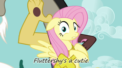 Size: 640x360 | Tagged: safe, discord, fluttershy, draconequus, pegasus, pony, female, insane pony thread, male, mare, yellow coat