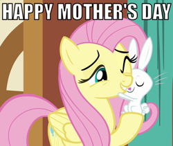 Size: 485x410 | Tagged: safe, angel bunny, fluttershy, pegasus, pony, angelshy, female, fluttermom, hug, image macro, male, mother's day, shipping, straight