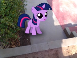 Size: 2048x1536 | Tagged: safe, artist:tokkazutara1164, derpibooru import, twilight sparkle, filly twilight sparkle, outdoors, ponies in real life, vector