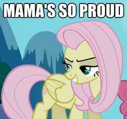 Size: 625x587 | Tagged: safe, edit, edited screencap, screencap, fluttershy, pegasus, pony, the return of harmony, cropped, discorded, flutterbitch, image macro, lidded eyes, solo focus