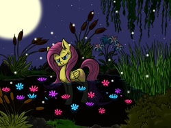 Size: 1195x895 | Tagged: safe, artist:jigglybelle, fluttershy, pegasus, pony, moon, pond, solo, water