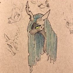 Size: 2048x2048 | Tagged: safe, artist:greyscaleart, queen chrysalis, changeling, changeling queen, bust, female, sketch, solo, traditional art