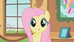Size: 853x480 | Tagged: safe, screencap, fluttershy, pegasus, pony, a bird in the hoof, :o, open mouth, solo